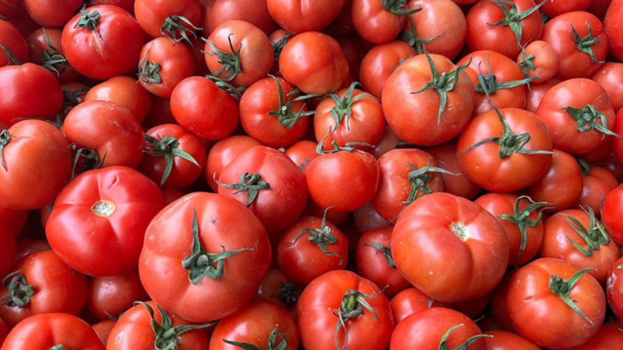 Foto - Domatesler raflardan acil olarak toplatılıyor: Sakın tüketmeyin uyarısı geldi