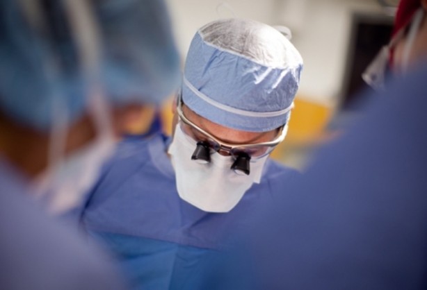 Foto - ABD'li bilim insanları domuz bedeninde insan organı yetiştirilecek