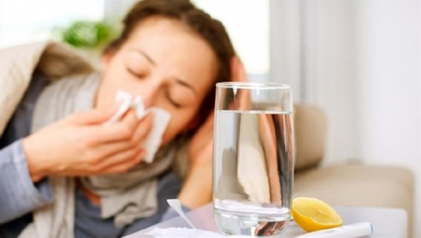 Foto - Domuz gribinden korunmanın 8 yolu