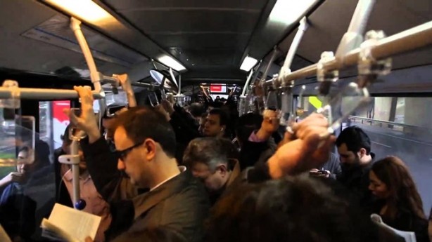 Foto - Domuz gribinden korunmanın 8 yolu