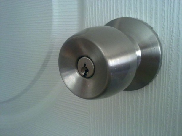 Foto - Domuz gribinden korunmanın 8 yolu