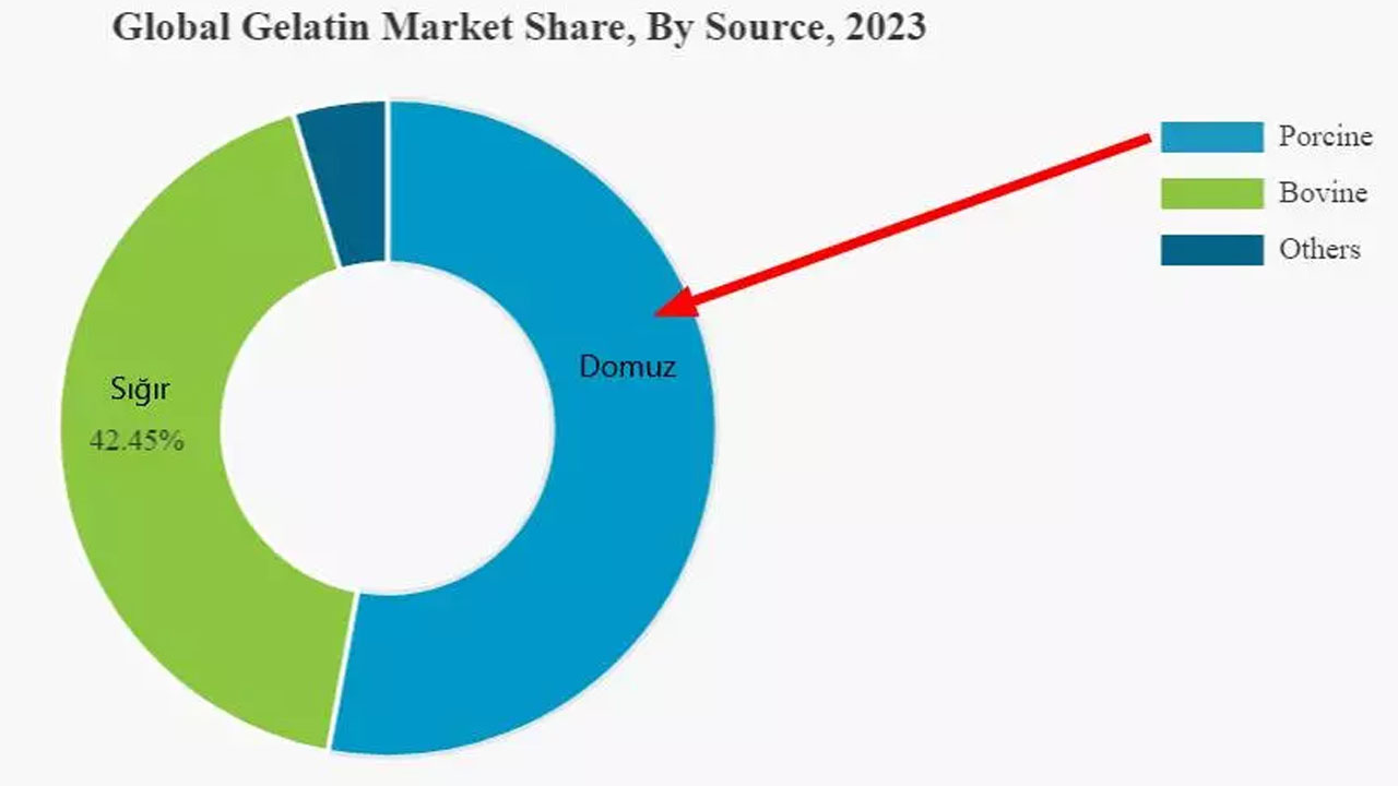 Foto - Domuz skandalının az bilinen en tehlikeli boyutu! Bunun sebebi ise Jelatin! Herkes satın alıyor