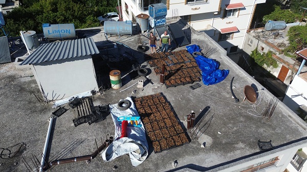 Foto - Domuzdan kurtardıklarını satıyorlar! Kilosu 350 TL