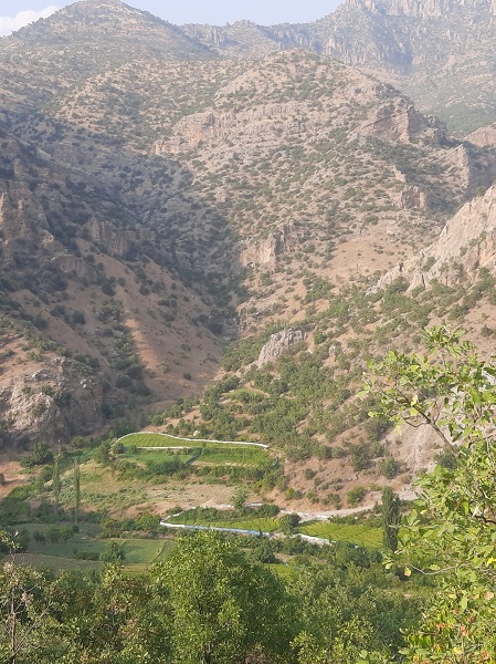 Foto - Domuzlara karşı böyle çözüm buldular
