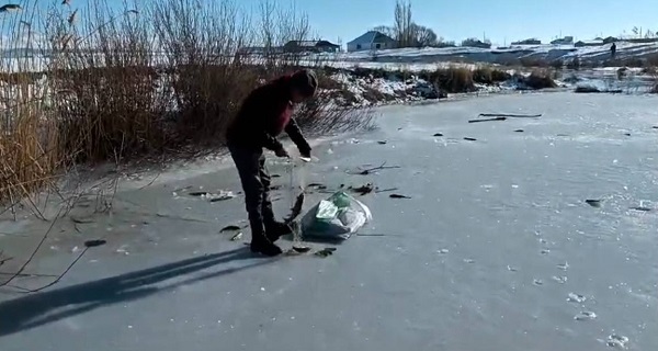Foto - Donan nehirde balık avı