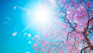 Dondurmayı kaşıkla yiyenler dikkat! Bu ayrıntı dikkat çekti