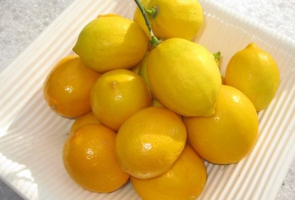 Foto - Dondurulmuş limon öyle bir hastalığa iyi geliyor ki! Gerçekten çok şaşırtıcı! İlk defa duyacaksınız