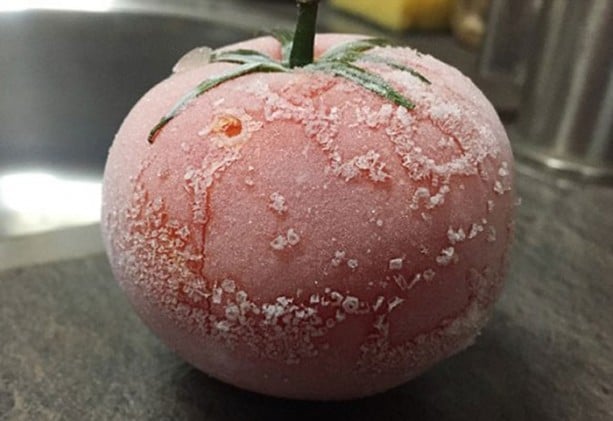 Donmuş domates çözülünce ne olur?