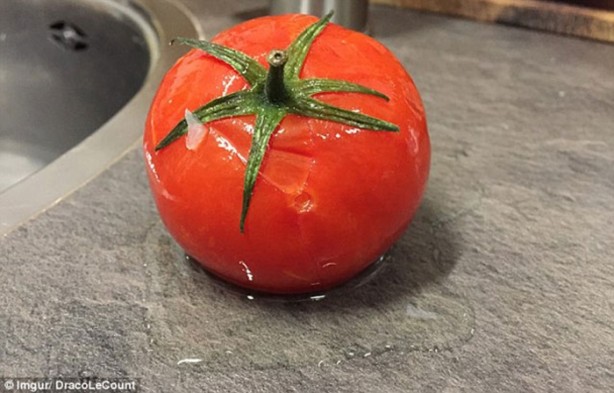 Foto - Donmuş domates çözülünce ne olur?