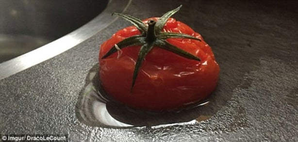 Foto - Donmuş domates çözülünce ne olur?