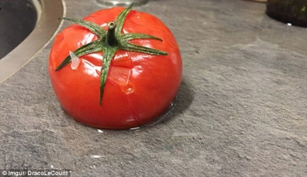 Foto - Donmuş domates çözülünce ne olur?