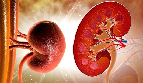 Foto - Donörden alınan böbreğin kan grubunu değiştirdiler