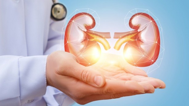 Foto - Donörden alınan böbreğin kan grubunu değiştirdiler