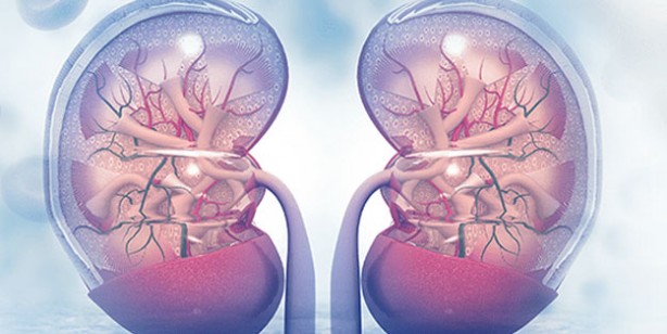 Foto - Donörden alınan böbreğin kan grubunu değiştirdiler