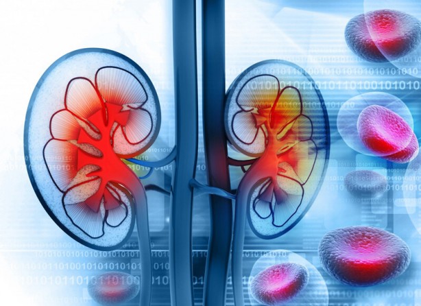 Foto - Donörden alınan böbreğin kan grubunu değiştirdiler