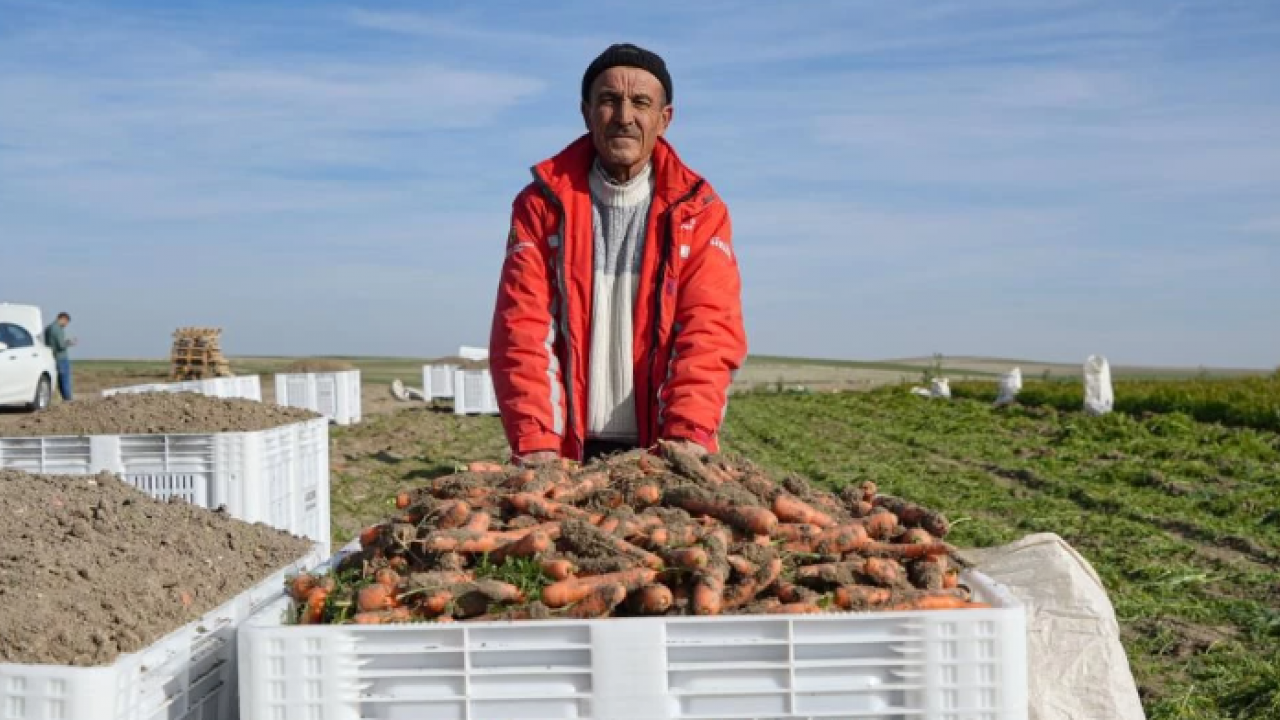 Dönüm başı 10 ton ürün çıkıyor! 12 ay boyunca üretim yapılıyor