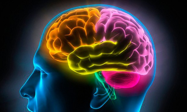 Foto - Dopamin orucu hakkında her şey! Dopaminin azı da çoğu da zarar