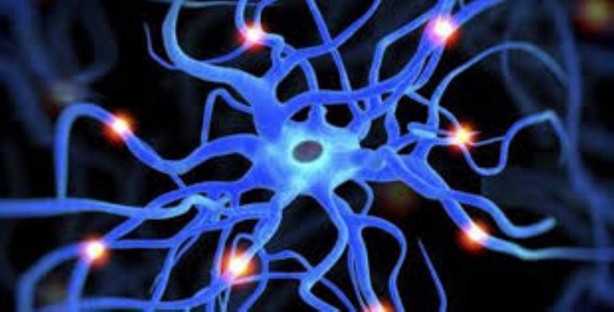 Foto - Dopamin orucu hakkında her şey! Dopaminin azı da çoğu da zarar