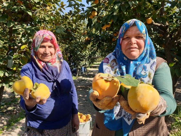 Foto - Dört bir yandan talep geliyor Sadece 2 hafta bekletene 10 kat kâr
