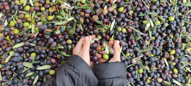 Foto - Dört bir yandan talep var! Fabrikalarda ışıklar sönmüyor