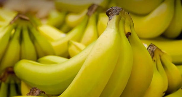 Foto - Dört markete teslim edilmişti! Muzlarda kokain ele geçirildi