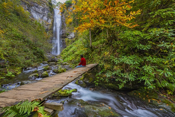 Foto - Dört mevsim renk cümbüşü: Artvin