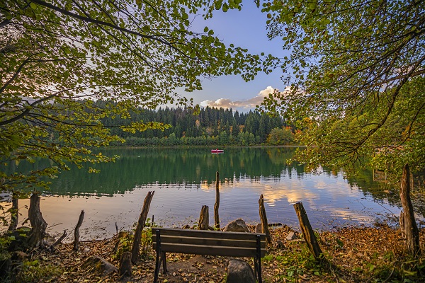 Foto - Dört mevsim renk cümbüşü: Artvin
