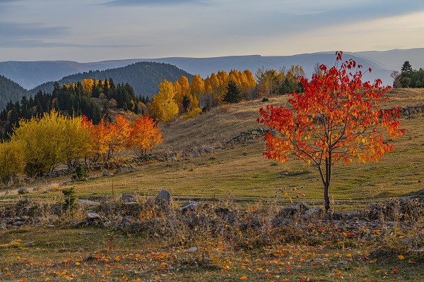 Foto - Dört mevsim renk cümbüşü: Artvin