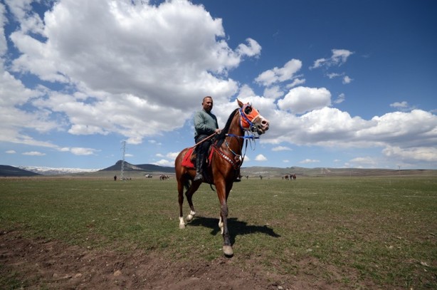 Foto - Dört mevsimde dört nala cirit