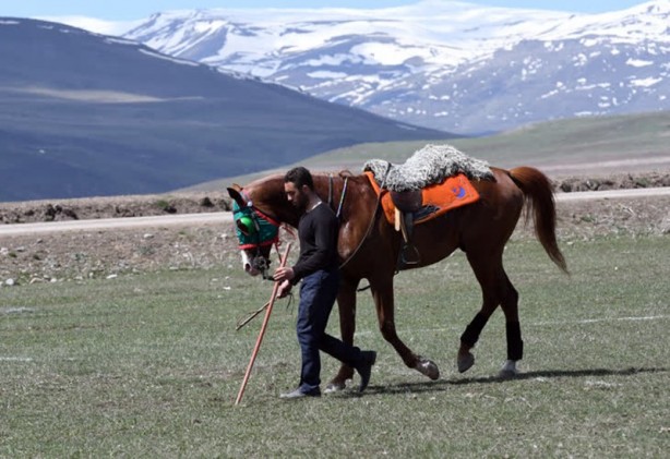 Foto - Dört mevsimde dört nala cirit