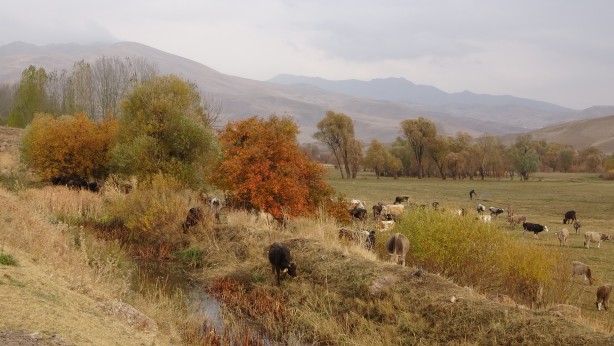Foto - Dört mevsimi bir arada yaşayan Türkiye'den muhteşem manzara!