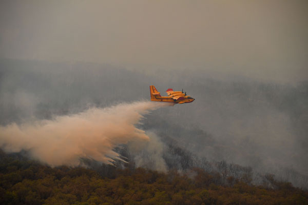 Foto - Dost ve kardeş ülke günlerdir yangınla boğuşuyor