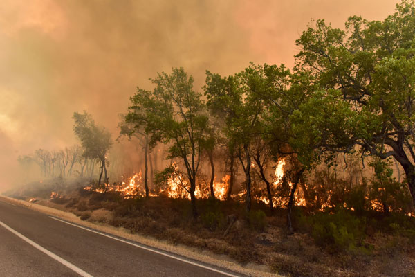Foto - Dost ve kardeş ülke günlerdir yangınla boğuşuyor