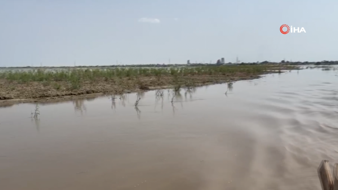 Foto - Dost ve kardeş ülke Pakistan’da çok büyük felaket! 800’den fazla ölü var
