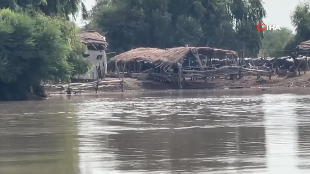 Foto - Dost ve kardeş ülke Pakistan’da çok büyük felaket! 800’den fazla ölü var