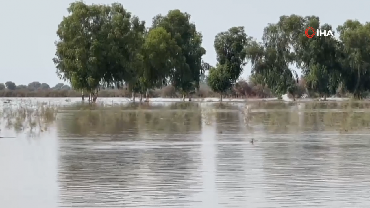 Foto - Dost ve kardeş ülke Pakistan’da çok büyük felaket! 800’den fazla ölü var