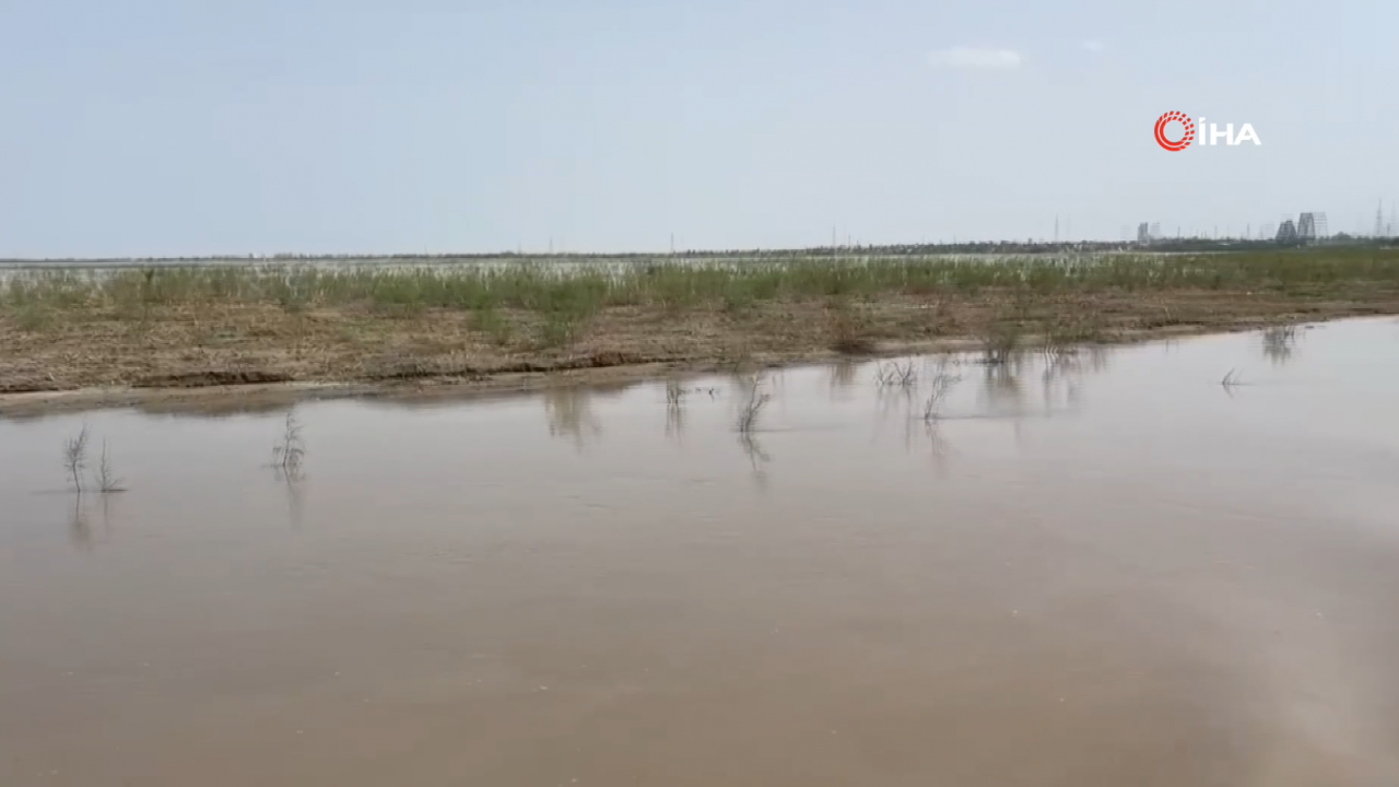 Foto - Dost ve kardeş ülke Pakistan’da çok büyük felaket! 800’den fazla ölü var