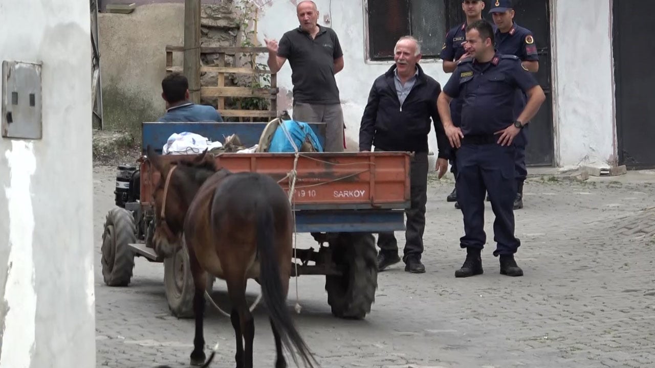Dostlukları kalpleri yumuşatıyor! Yaylada katır Dost, yolda patpat!