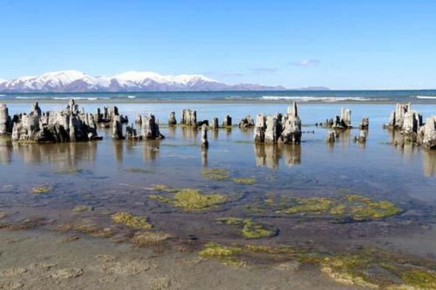 Dr. Akkuş: Son 52 yılın en sıcak ocak ayını yaşadık