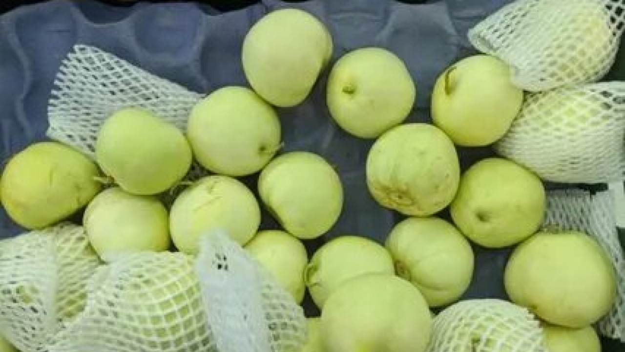 Foto - Dr. Sethi’den şaşırtan uyarı! Bumeyveler bağırsaklarınıza zarar verebilir