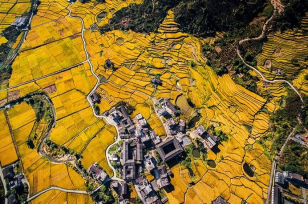 Foto - Drone ile çekilmiş 19 fotoğraf ödül aldı