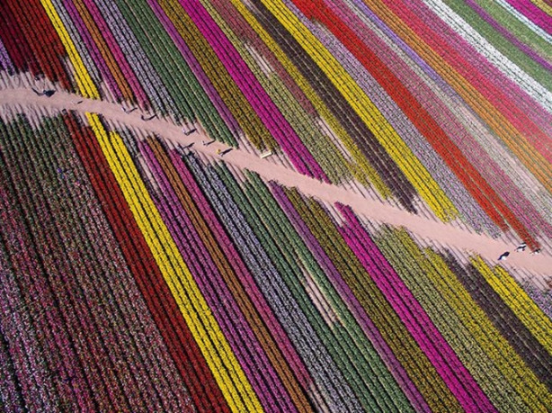 Foto - Drone ile çekilmiş 19 fotoğraf ödül aldı