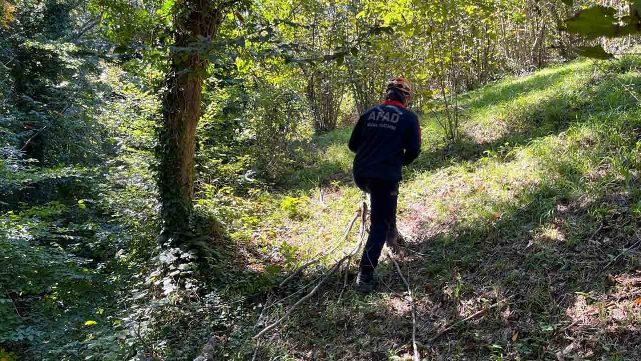 Foto - Dronlar ve eğitimli köpekler devrede: Kayıp Alzheimer hastası için seferberlik