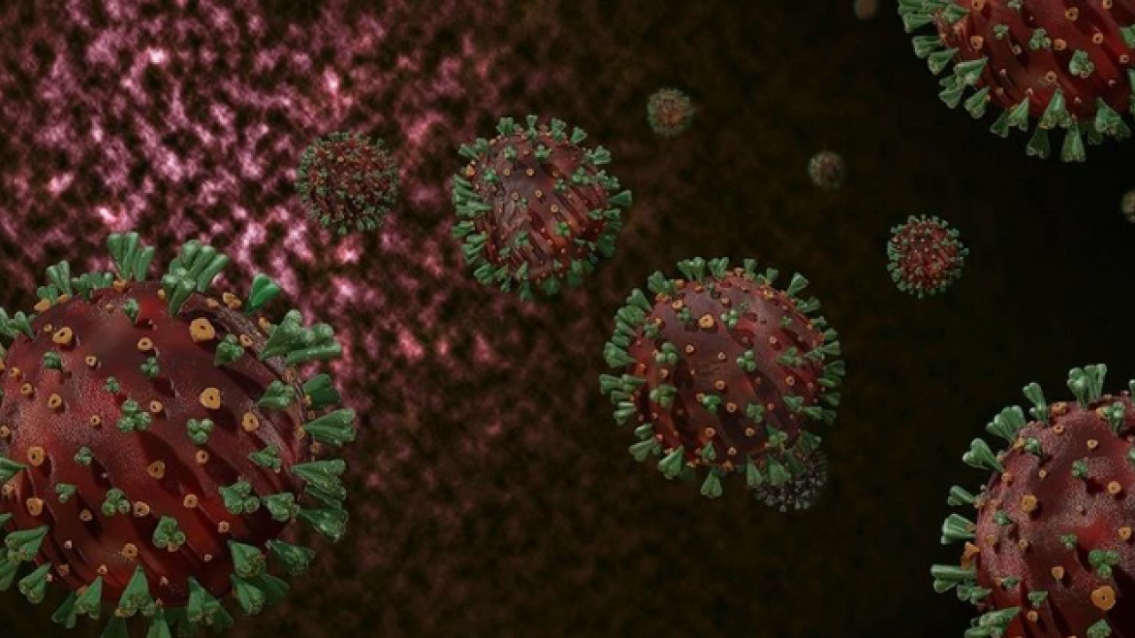 DSÖ’den kırmızı alarm! Mutasyona uğrayan virüs hızla yayılıyor