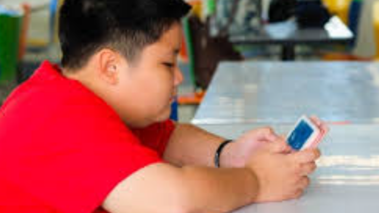 DSÖ'den küresel çağrı: Her 10 çocuktan biri obez: Okullarda beslenme devrimi şart