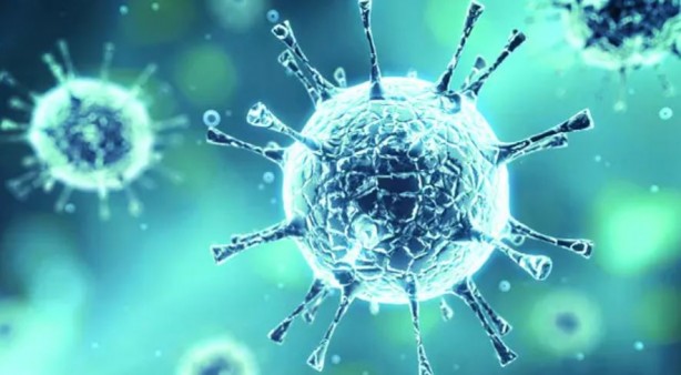 DSÖ'den tüm Avrupa'ya uyarı: Daha önce görülmemiş bir tehdit...