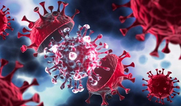 Foto - DSÖ'den tüm Avrupa'ya uyarı: Daha önce görülmemiş bir tehdit...