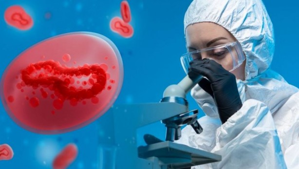 Foto - DSÖ'den tüm Avrupa'ya uyarı: Daha önce görülmemiş bir tehdit...