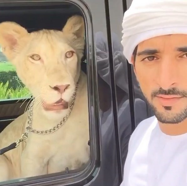 Dubai Emiri'nin oğlu yaşamını yitirdi