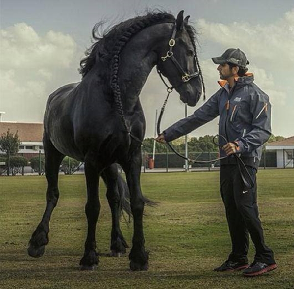 Foto - Dubai Emiri'nin oğlu yaşamını yitirdi